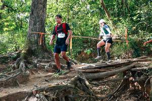 BIB: 
                            <button type="button" onclick="openModal(27558722)" class="btn btn-primary btn-sm float-right btn-popup" data-toggle="modal" data-target=".modal-high-quality">
                        <i class="fas fa-shopping-cart"></i> Add to Cart
                    </button>
                                            <button type="button" onclick="isThisMe(27558722, true)" class="btn btn-success btn-sm float-right btn-popup btn-isme hidden" data-toggle="tooltip" data-placement="bottom" title="นี่คือรูปของคุณใช่ไหม คลิกที่นี่เพื่อเอาเข้าอัลบั้ม">
                        <i class="fas fa-plus"></i> Add to album
                    </button>
                    <button type="button" onclick="isThisMe(27558722, false)" class="btn btn-warning btn-sm float-right btn-popup btn-isnotme hidden">
                        <i class="fas fa-ban"></i> Remove from album
                    </button>